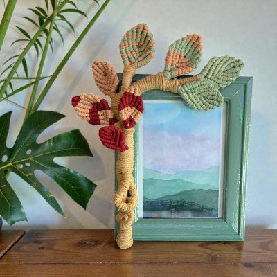 Twisted Threads Au Stillroot Frame macrame photo frame in natural fiber art, designed to hold 6x8 photos.